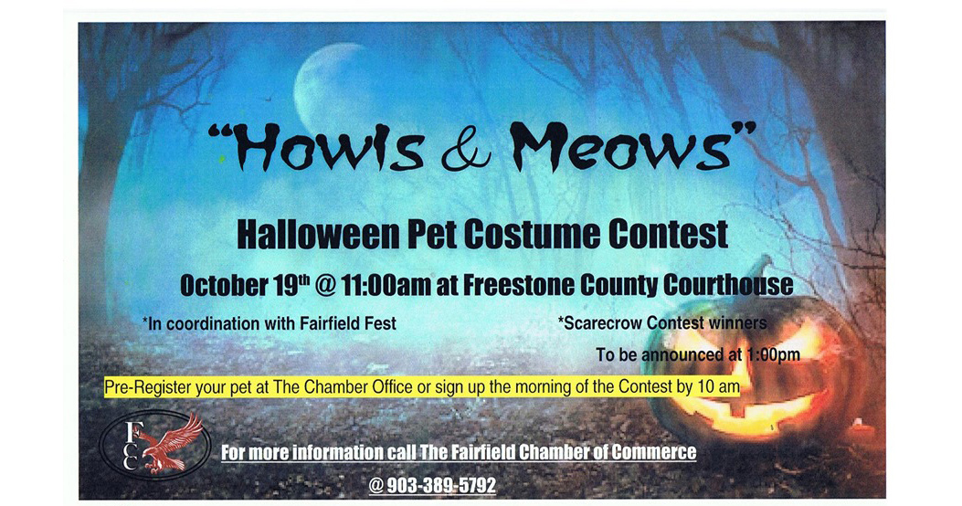 Enter Your Pet In Saturday’s Halloween Costume Contest