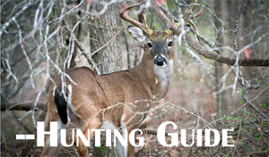 2024 Hunting Guide