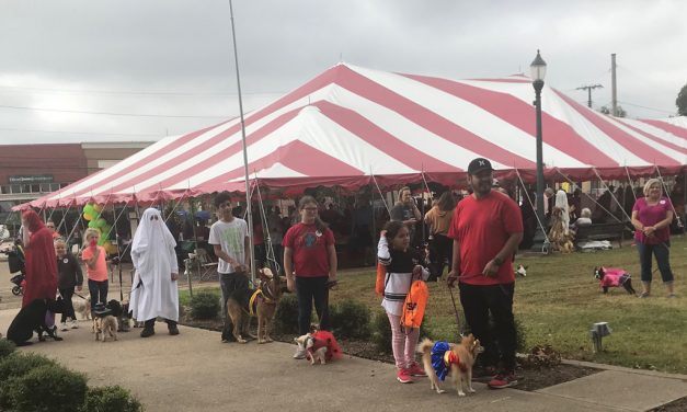 Fierce Competition At Howls & Meows Costume Contest