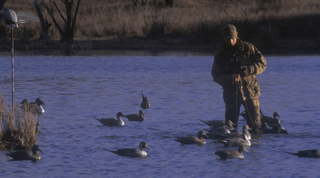 Woods, Waters, and Wildlife:  Good Days for Ducks