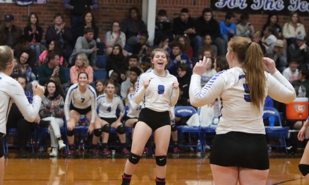 Lady Bulldogs Undefeated District Champs