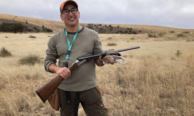 Woods, Waters, and Wildlife:  Texas’ Quails