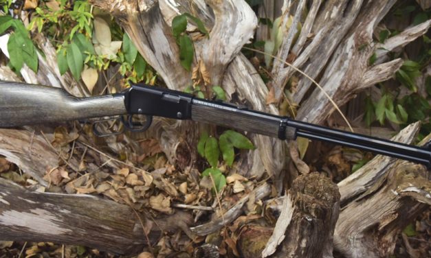 Woods, Waters, and Wildlife:  A New Shotgun
