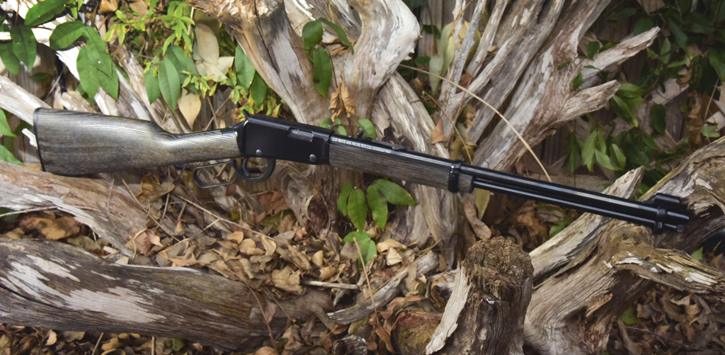 Woods, Waters, and Wildlife:  A New Shotgun
