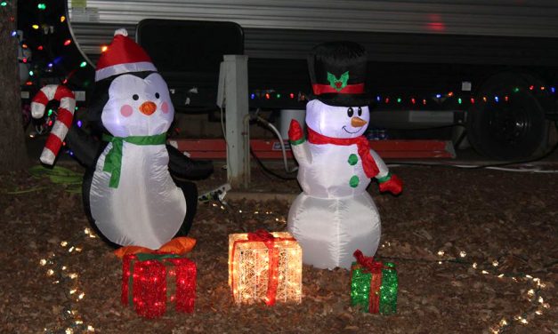 Great Turnout For 2019 Christmas In The Park
