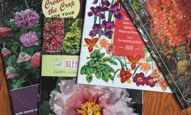 Navigating Garden Catalogs to Plan for the Season Ahead