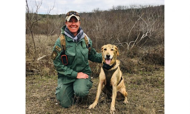 Woods, Waters, and Wildlife:  Collared Game Wardens