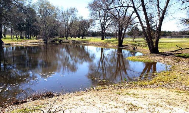 Disc Golf Breaks Ground on Monday, March 9th in Fairfield