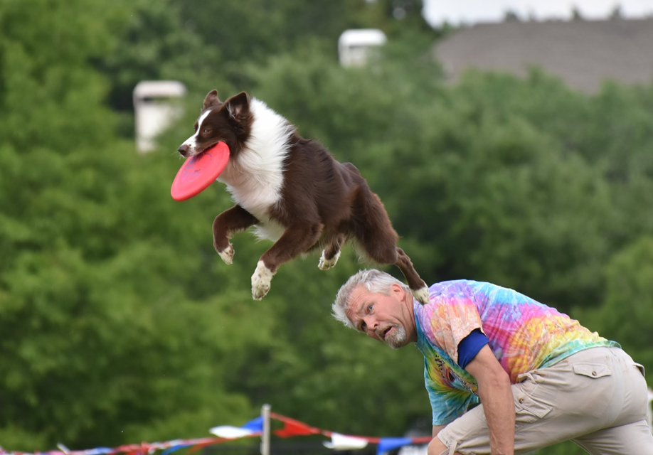 Disc Dogs State Tournament Comes to Fairfield in May