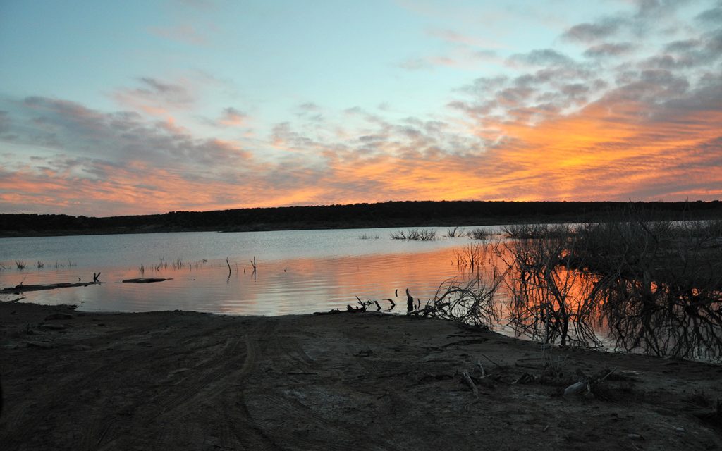 Woods, Waters, and Wildlife:  Where’s The Fish?