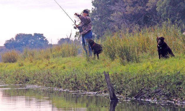 Woods, Waters, and Wildlife:  Overlooked Fishing Opportunities