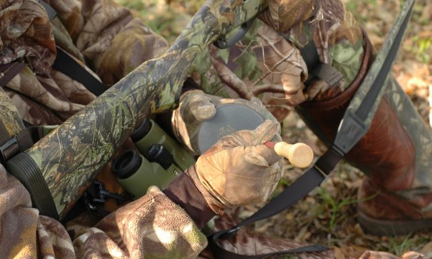 Woods, Waters, and Wildlife:  Turkeys for the Taking