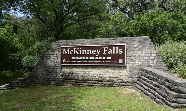 Woods, Waters, and Wildlife:  State Parks Reopened