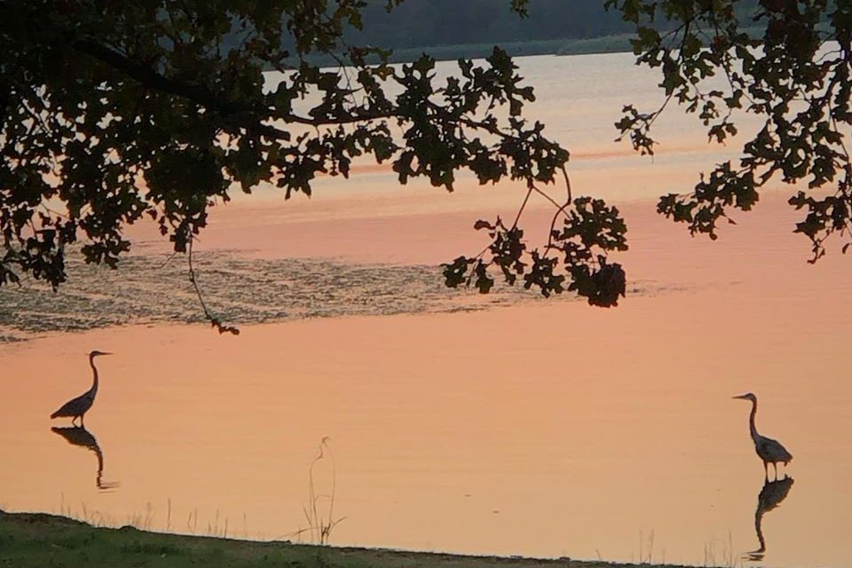 Fairfield Lake Re-Opens With Swimming and Picnic Tables Available to Visitors