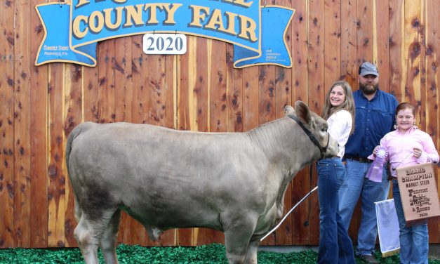Record Livestock Sale Nets Almost $560,000