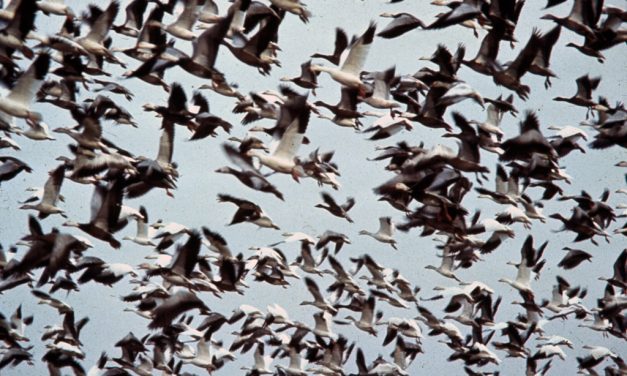 Woods, Waters, and Wildlife:  Fishing and Hunting Reg Changes