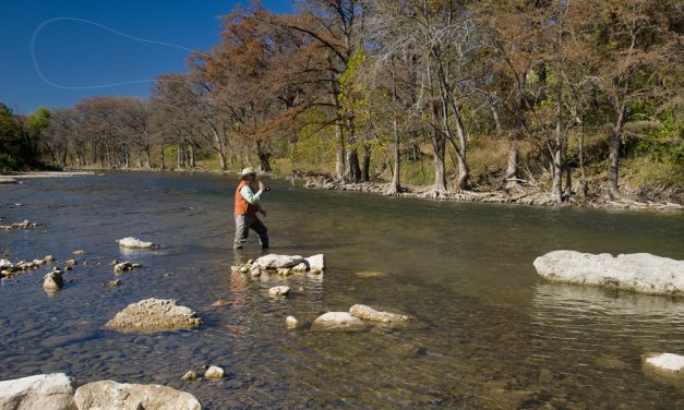 Woods, Waters, and Wildlife:  Understanding Fishing