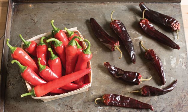 Debunking  Hot Pepper Myths