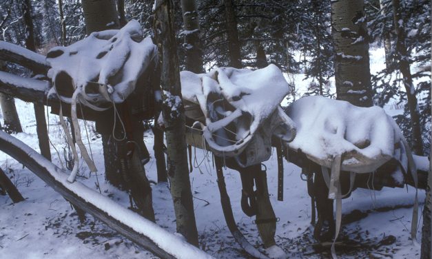 Woods, Waters, and Wildlife:  Hunting Camp Calamities