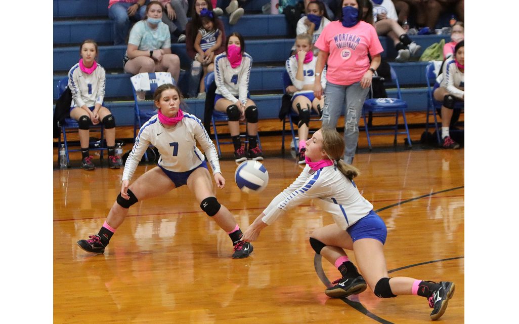 WHS District Volleyball Record 3-1