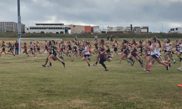Tenth Place In State for FHS Girls Cross Country Team