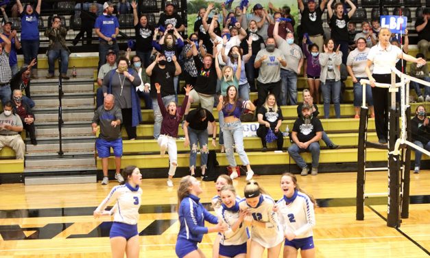 Lady Bulldogs Fall In Area Round Play