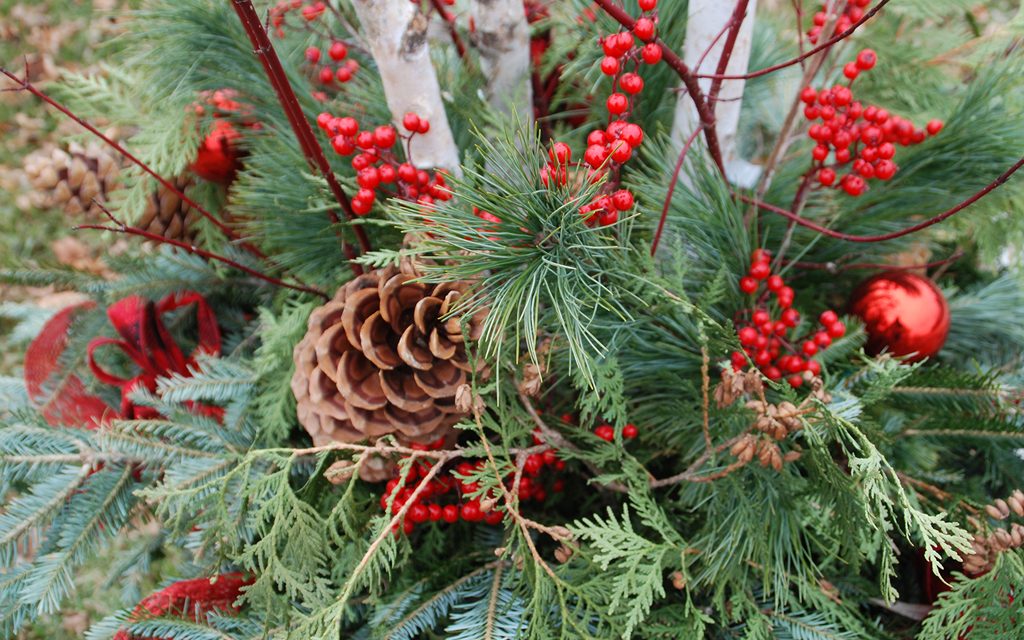 Do-it-Yourself Holiday Centerpiece