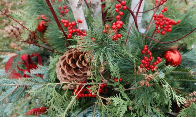Do-it-Yourself Holiday Centerpiece