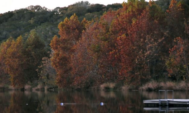 Woods, Waters, and Wildlife:  FALL/WINTER FISHING