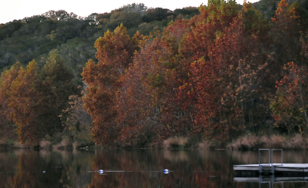 Woods, Waters, and Wildlife:  FALL/WINTER FISHING