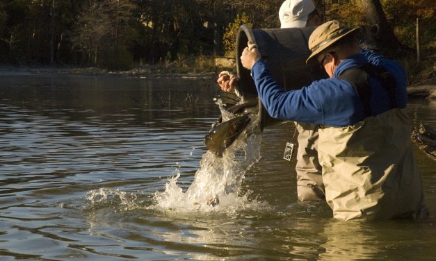 Woods, Waters, and Wildlife:  RAINBOWS in Texas