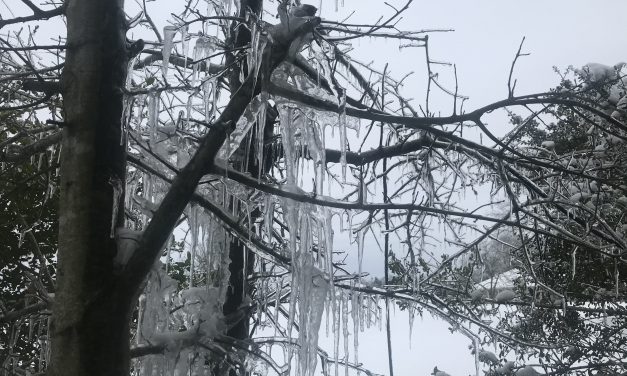 This Week’s Print Edition Cancelled Due to Weather Conditions