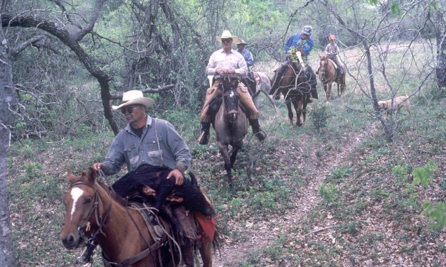 Woods, Waters, and Wildlife:  Go Hog Wild