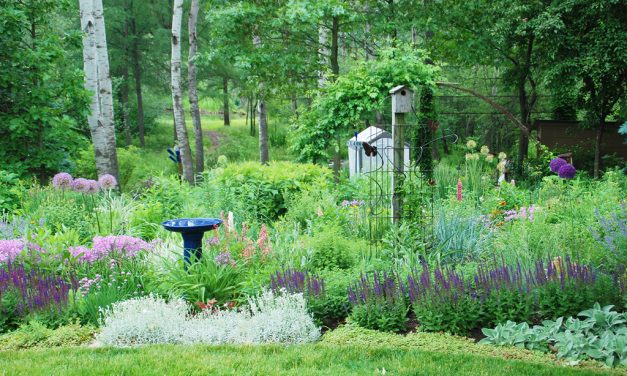 Designing a Wildlife-Friendly Landscape