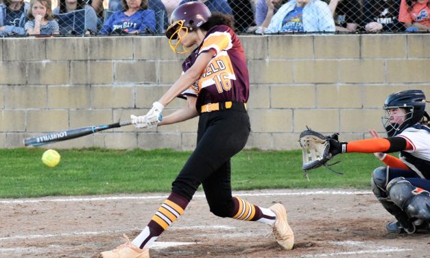 Fairfield Lady Eagles vs. Teague Lady Lions