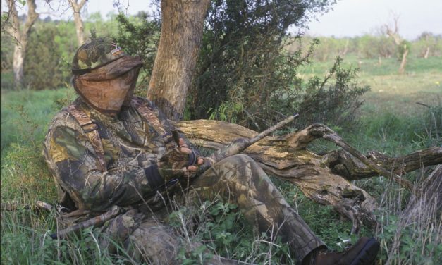 Woods, Waters, and Wildlife:  Don’t Sit Under…