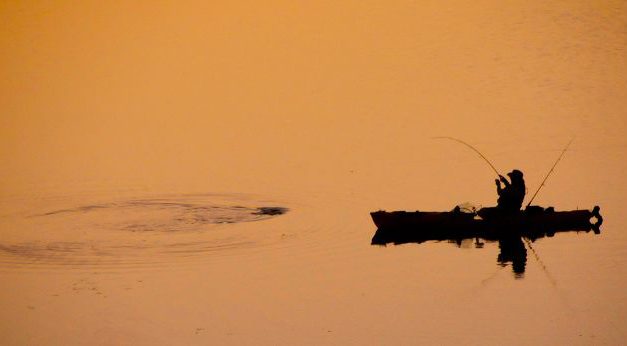 Woods, Waters, and Wildlife:  Fresh and Salty News
