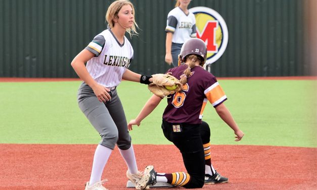 Area Softball Update