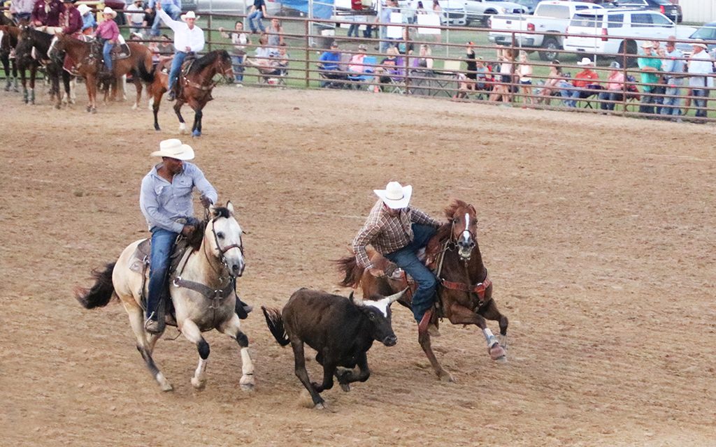 Exciting Professional Rodeo Enjoy at Freestone County Fair