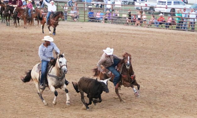 Exciting Professional Rodeo Enjoy at Freestone County Fair