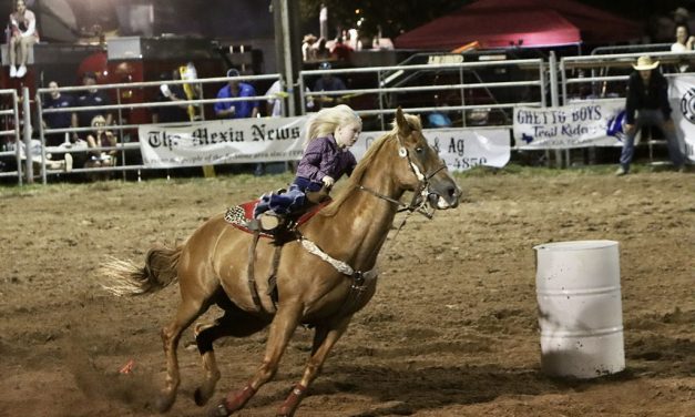 Rodeo In Season For The Summer