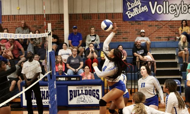 Wortham Lady Dawgs Beats Rice in Three Sets