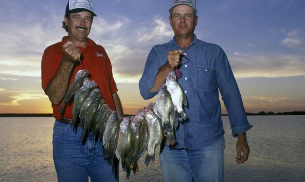 Woods, Waters, and Wildlife:  Table Fare Fish