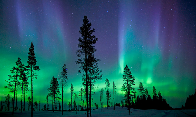 Woods, Waters, and Wildlife:  A Night to Remember