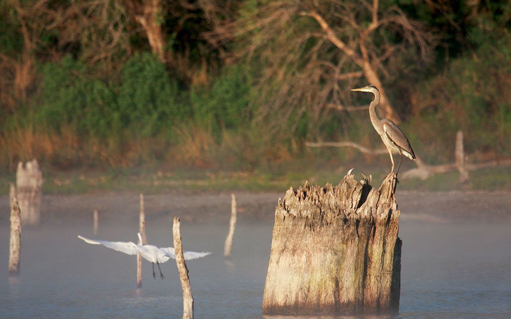 Texas Parks and Wildlife Department opts for eminent domain to save Fairfield Lake State Park