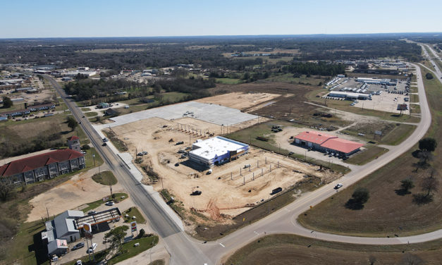 Bird’s Eye View of Local Economic Growth