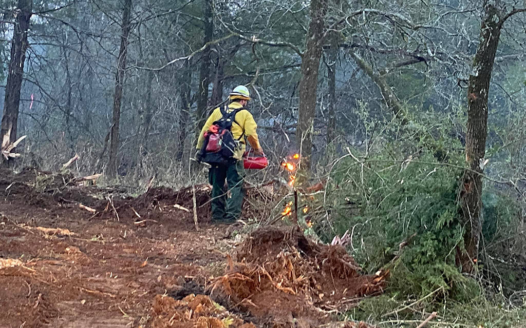 Major Grass Fire Battled to the North in Freestone County