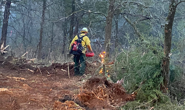 Major Grass Fire Battled to the North in Freestone County