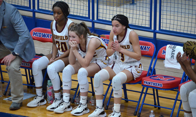 Ticket to State Tournament Punched by Fairfield Lady Eagles