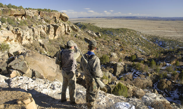 Woods, Waters, and Wildlife:  END of the HUNT